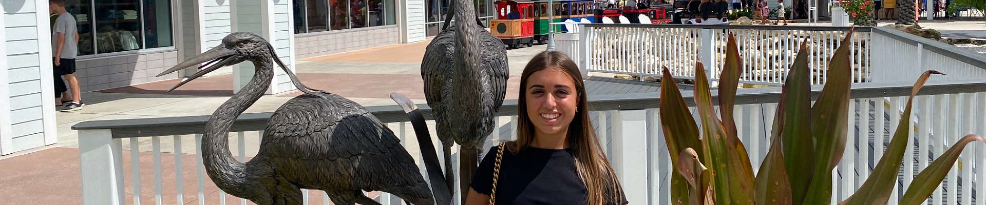 Click to show or hide the top-buttons